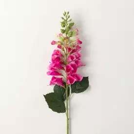 Deep Pink Fox Glove Spray