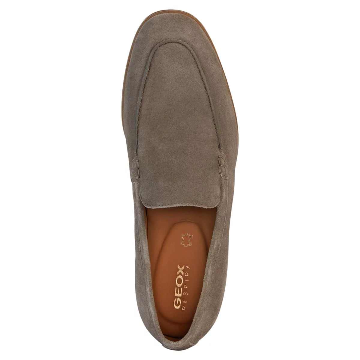 Geox Men's Venzone Taupe Suede